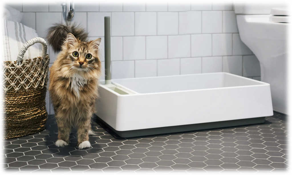 Quelle litière choisir pour mon chat ?