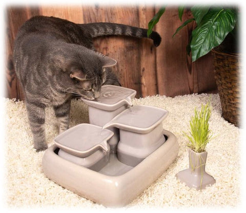 Pourquoi choisir une fontaine à eau pour mon chat ?